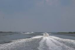 2023 09 16 Patriot Fun Run  1140.JPG